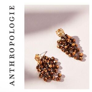 Anthropologie Waterfall Beaded Drop Earrings